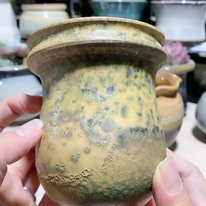 【闪购商品】红陶口8