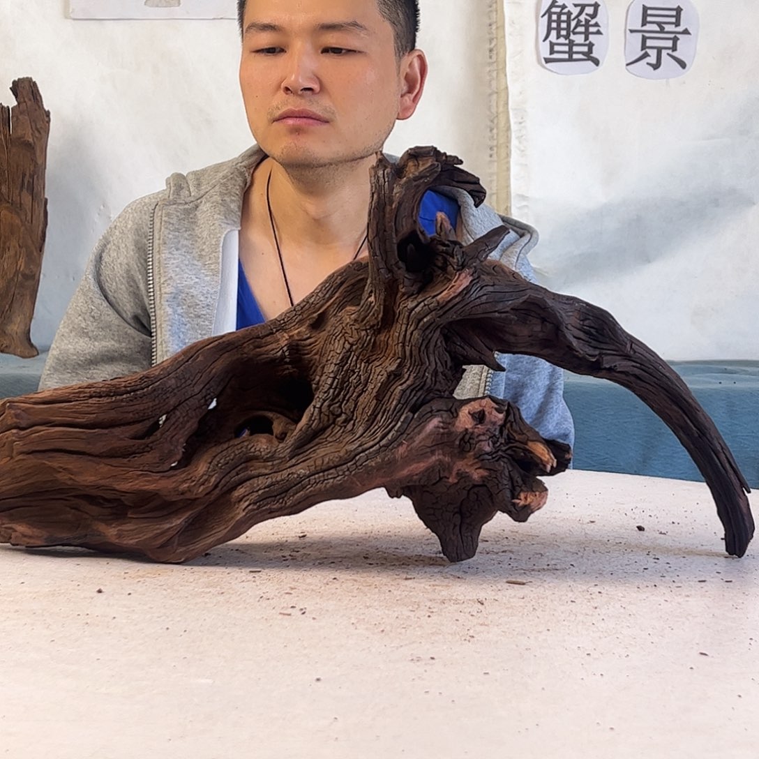 我****氓沉木造景爬宠造景