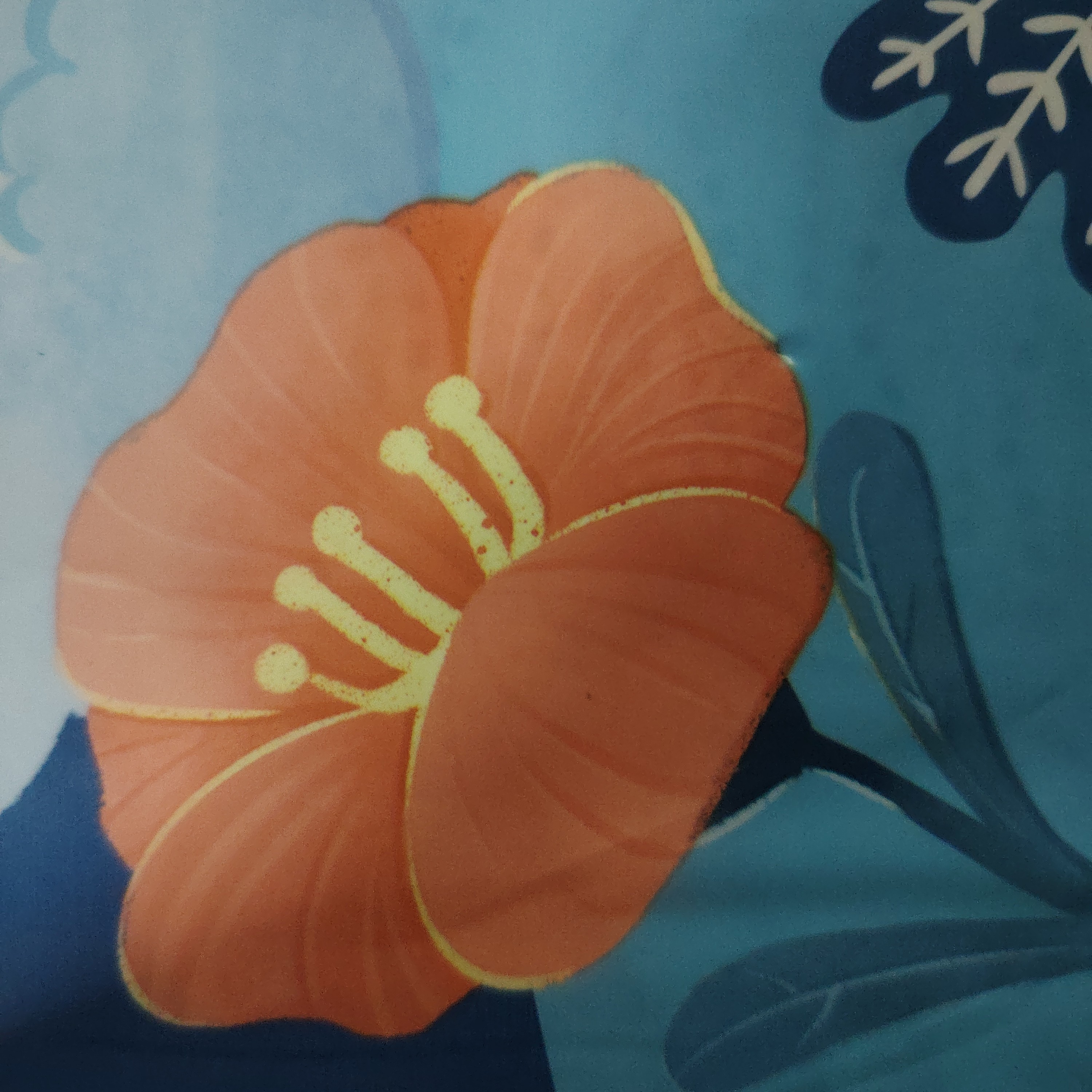 【白天日用款】粉丝福利款捡漏断码兔子纸尿裤拉拉裤