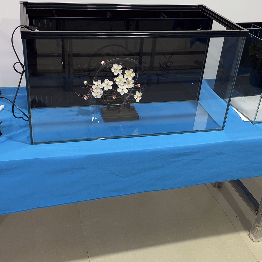 玻璃自**在804040单鱼马桶不要玻璃盖和包边