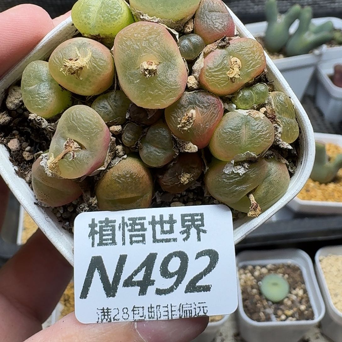 的Wf人生fghhjjjki