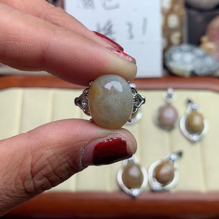 硅化珊瑚（珊瑚玉）颈饰未镶嵌