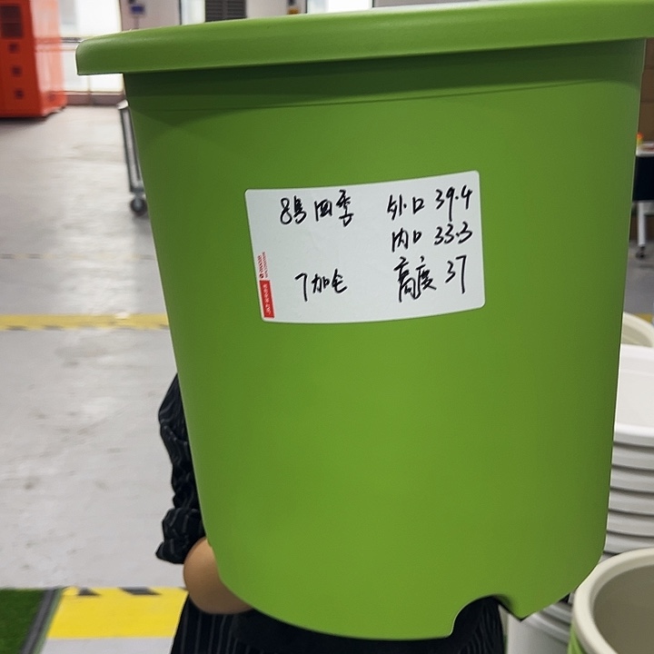 特价8号四季口39.4高37果绿带托3只