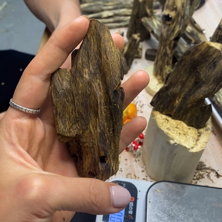 奇楠沉香乌身圆叶28g带有两包勾丝