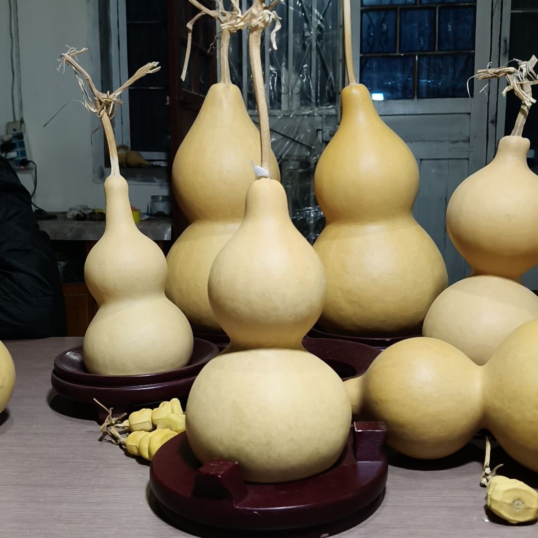 三醋酯纤维1234567890