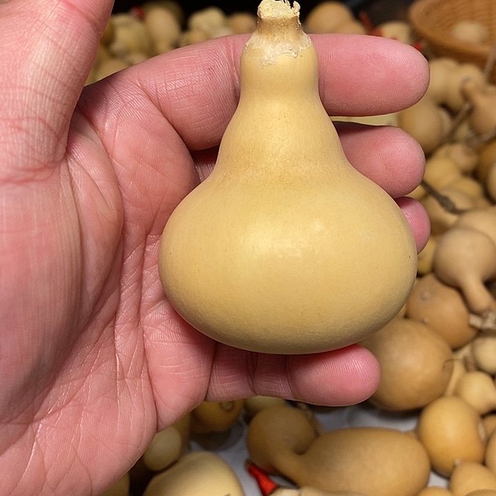 静**吖精品葫芦手把葫芦2