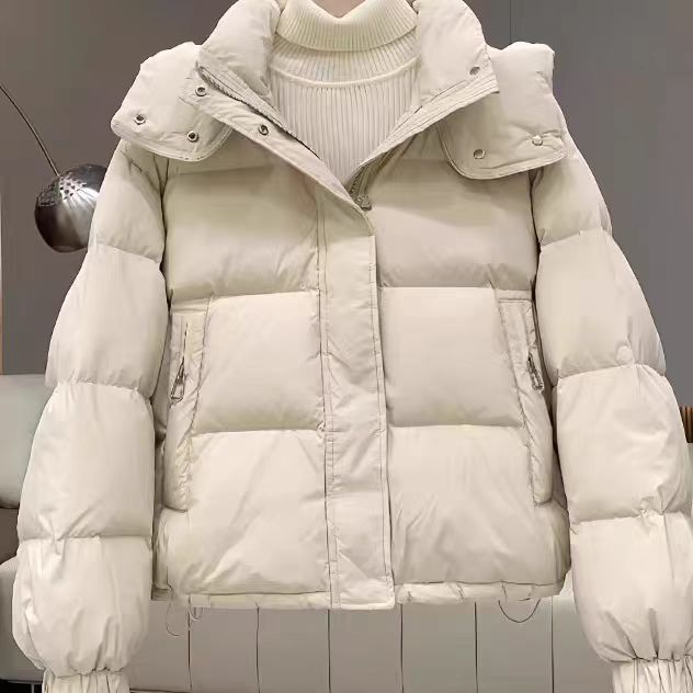（非图片款）短款立领百搭棉服女连帽冬季免洗面包棉衣女装潮流