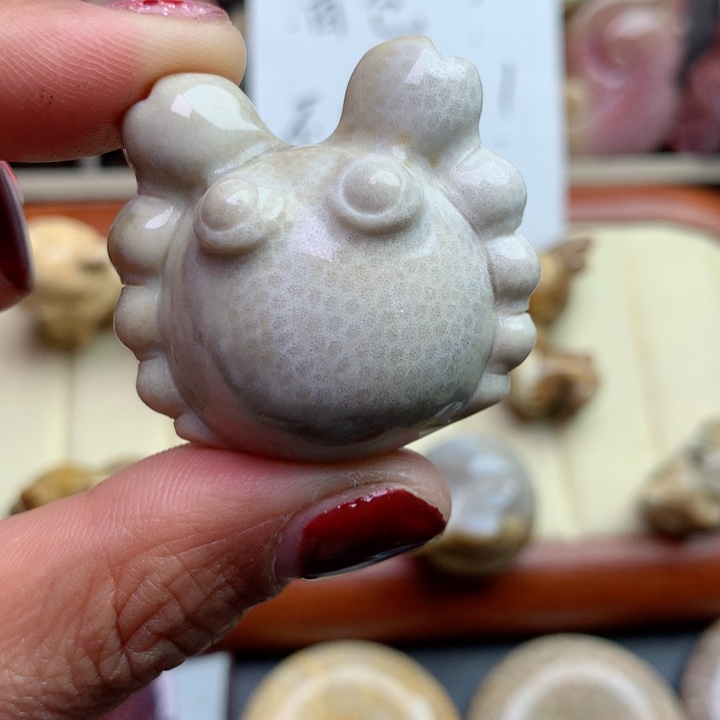 硅化珊瑚（珊瑚玉）颈饰未镶嵌