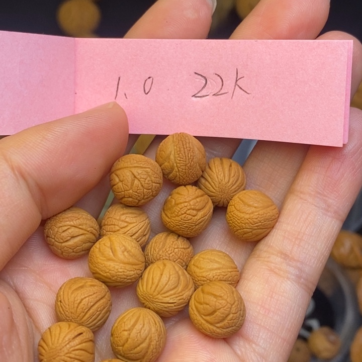 文玩核桃吊坠秦岭龙纹桃核22