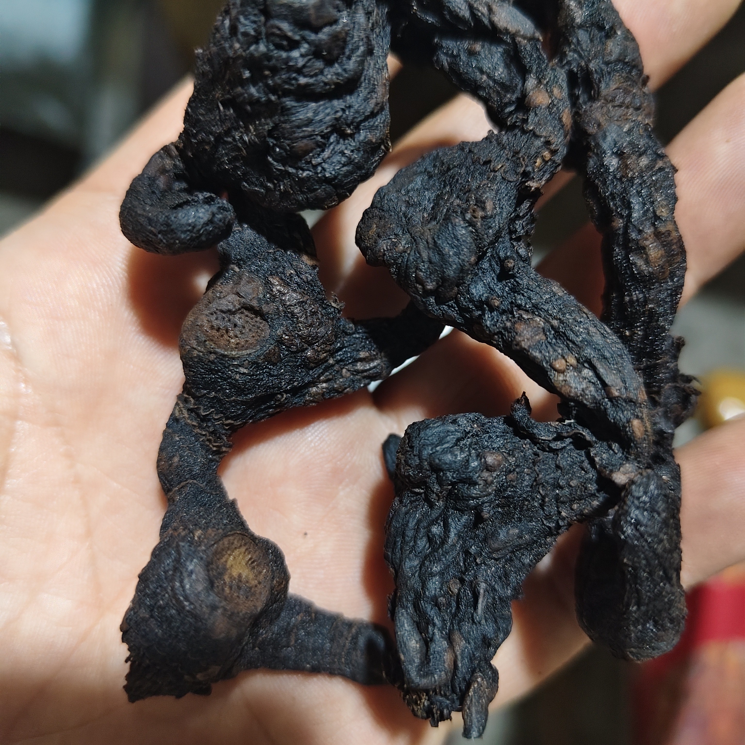 十五年以上的老鸡头黄精，苦感强烈介意勿拍！九制黄精