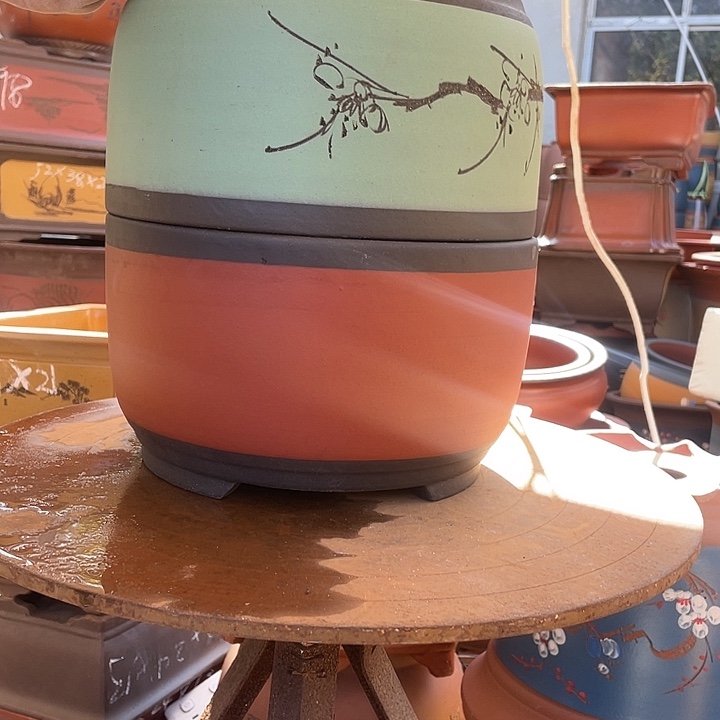 25红球盆➕25苹果绿萝大花盆