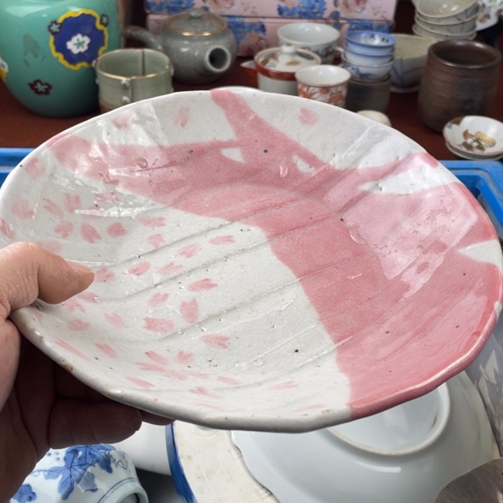 碟开播了开播了开播了