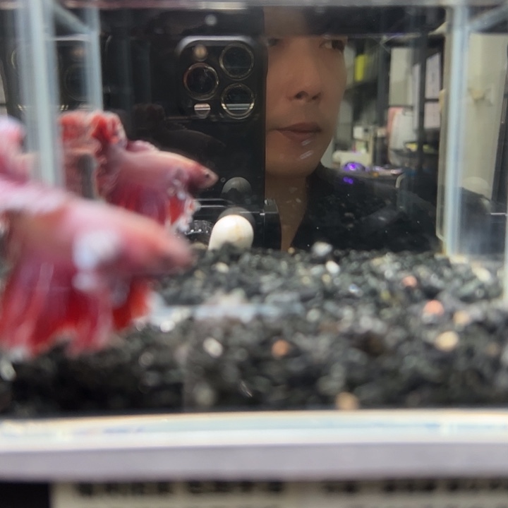 斗鱼竞拍跑单拉黑23日94