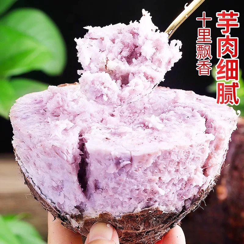 广西荔浦芋头新鲜现挖粉糯香甜超抢手整个芋头发货2025年新货