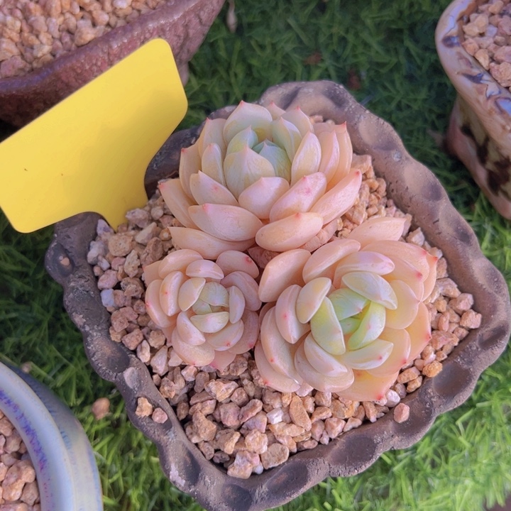 健健康康平平安安