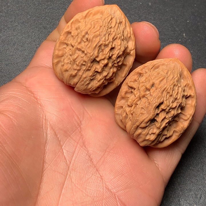 把件文玩核桃34红红狮子700