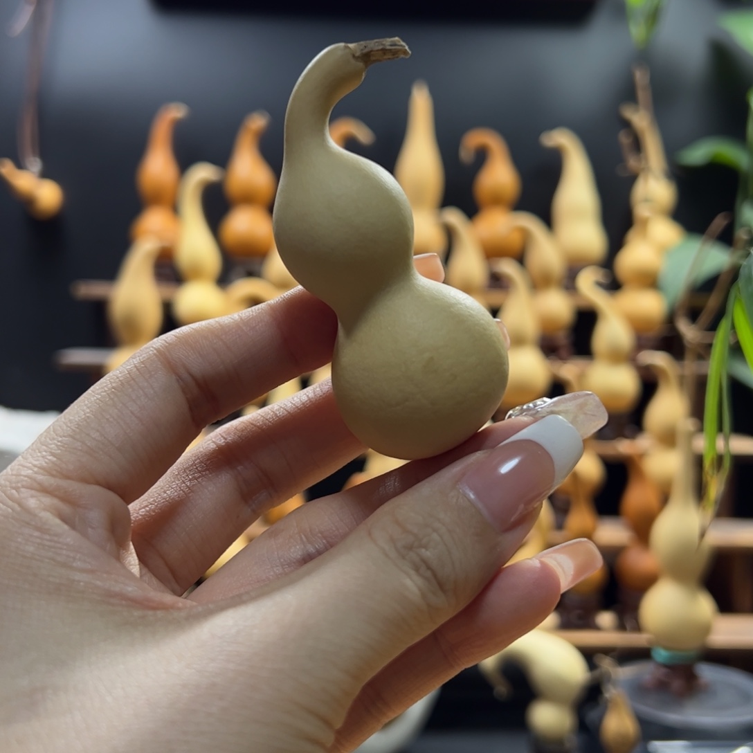 用***3有机玻璃底片来咯哦哦看看咯哦里咯哦