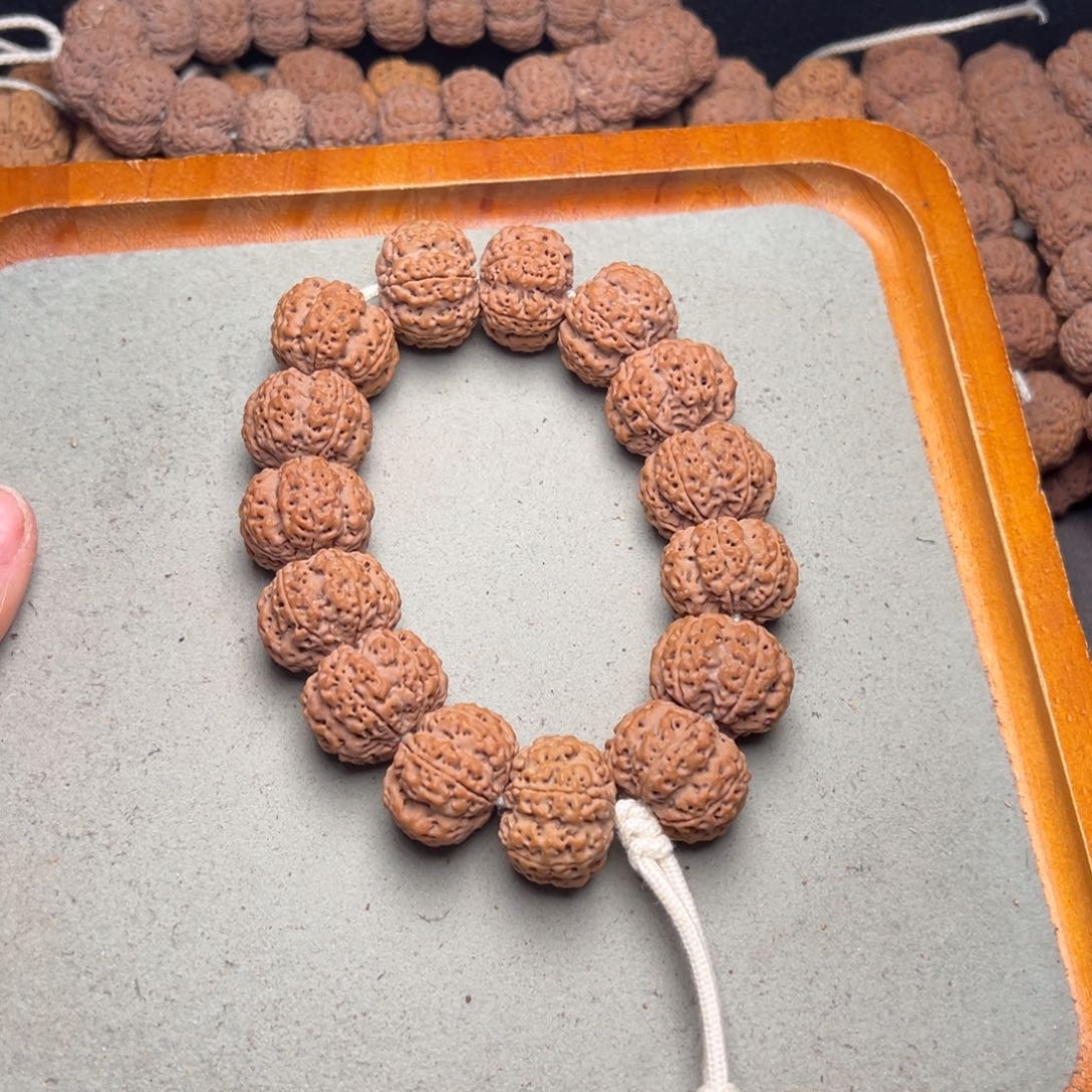 菩提6号金刚菩提六瓣爆肉23定制