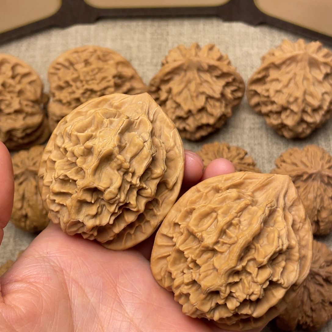 吃***众核桃秦岭核桃23号