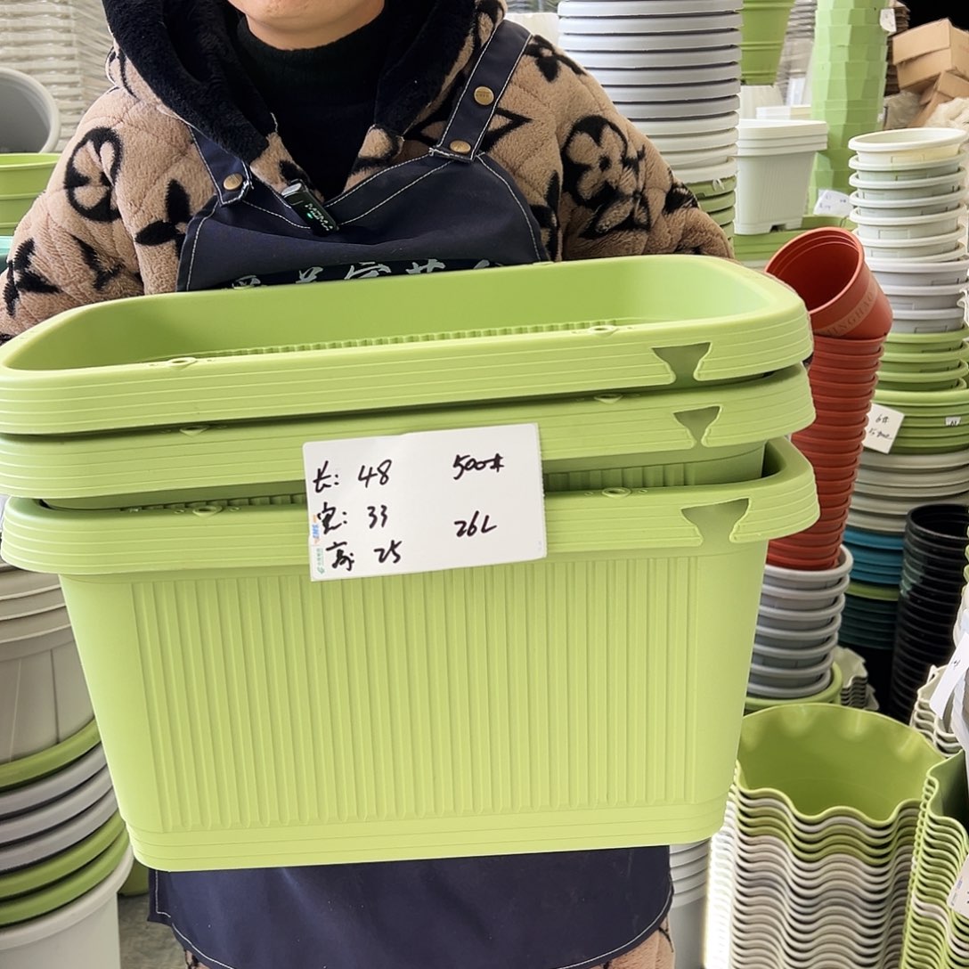 瑕疵菜盆500#果绿色3个无托
