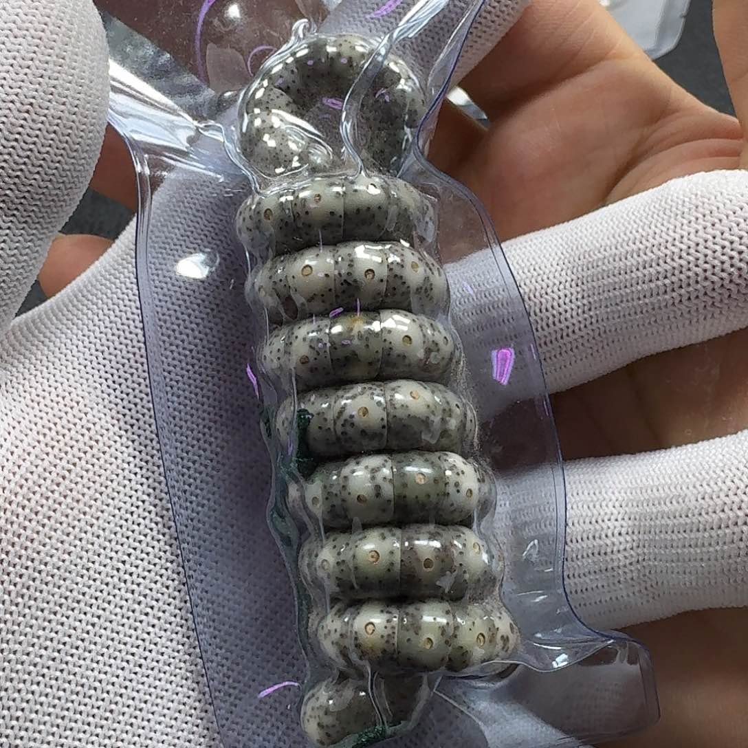 星月菩提手串星月菩提9mm石玉料大肠