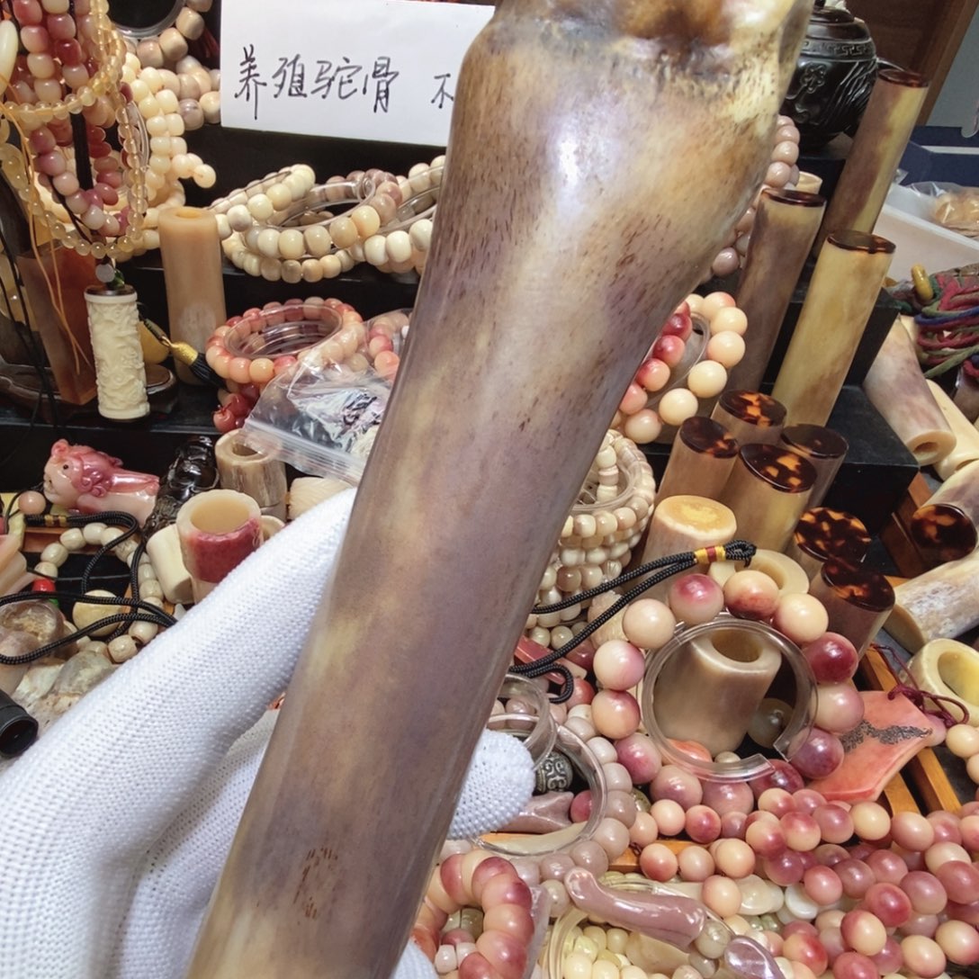 手串/手链驼骨驼骨腿骨