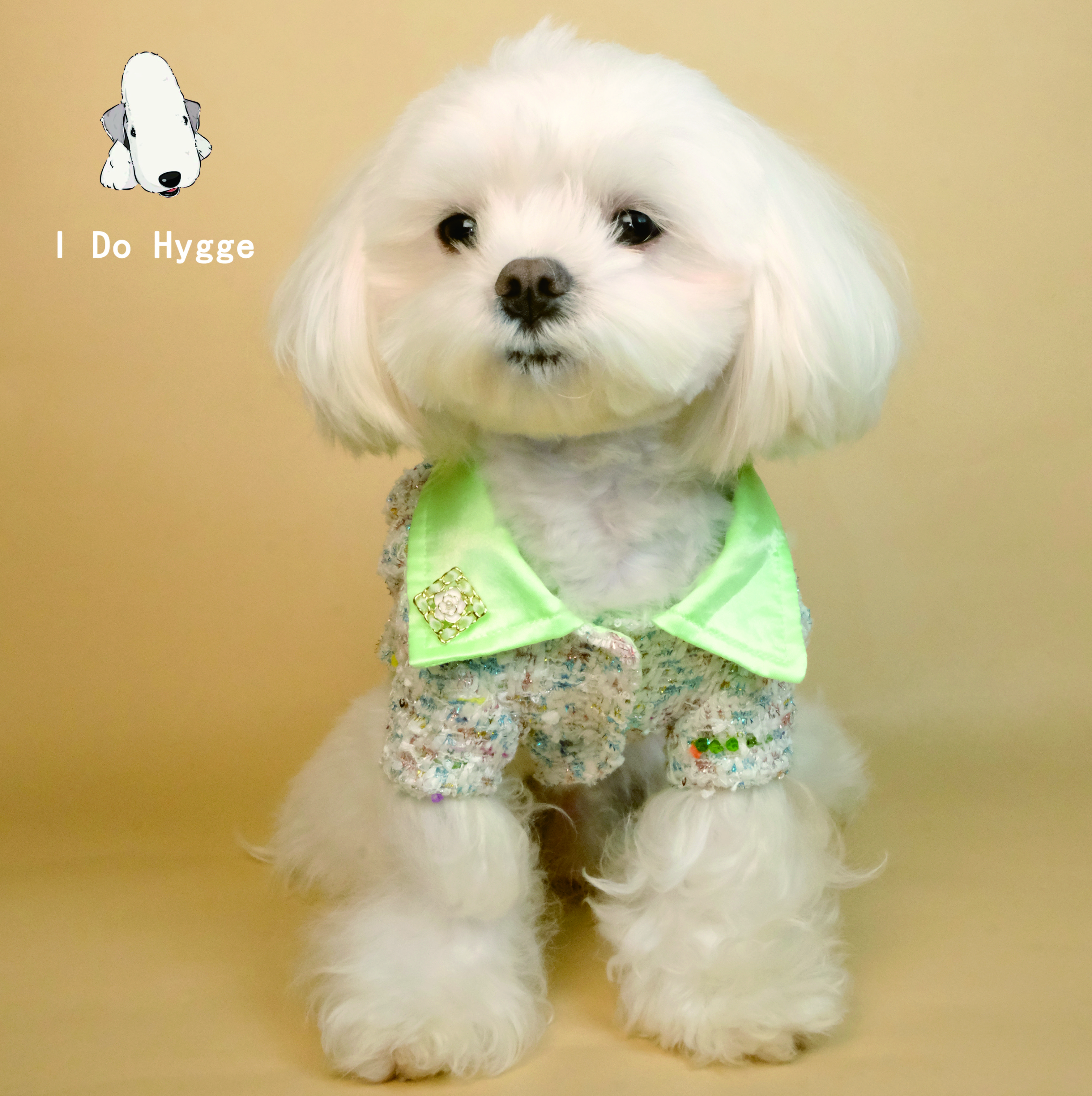I Do Hygge宠物小香风秋冬礼服灵缇柯基贝灵顿马尔济斯腊肠犬高定