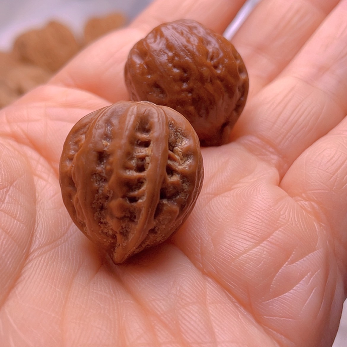 【闪购商品】茶****去fui h b j n