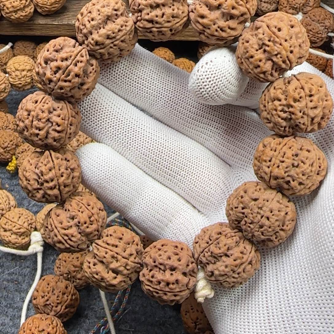 菩提金刚菩提23深沟满肉梅花