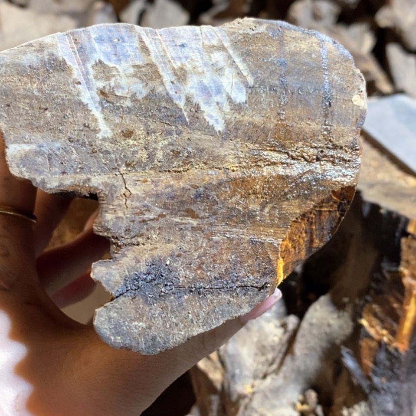 【闪购商品】把件贡木m****富私人空间