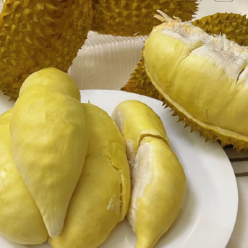 新鲜金枕榴莲核小2600g左右一个176元金枕泰国