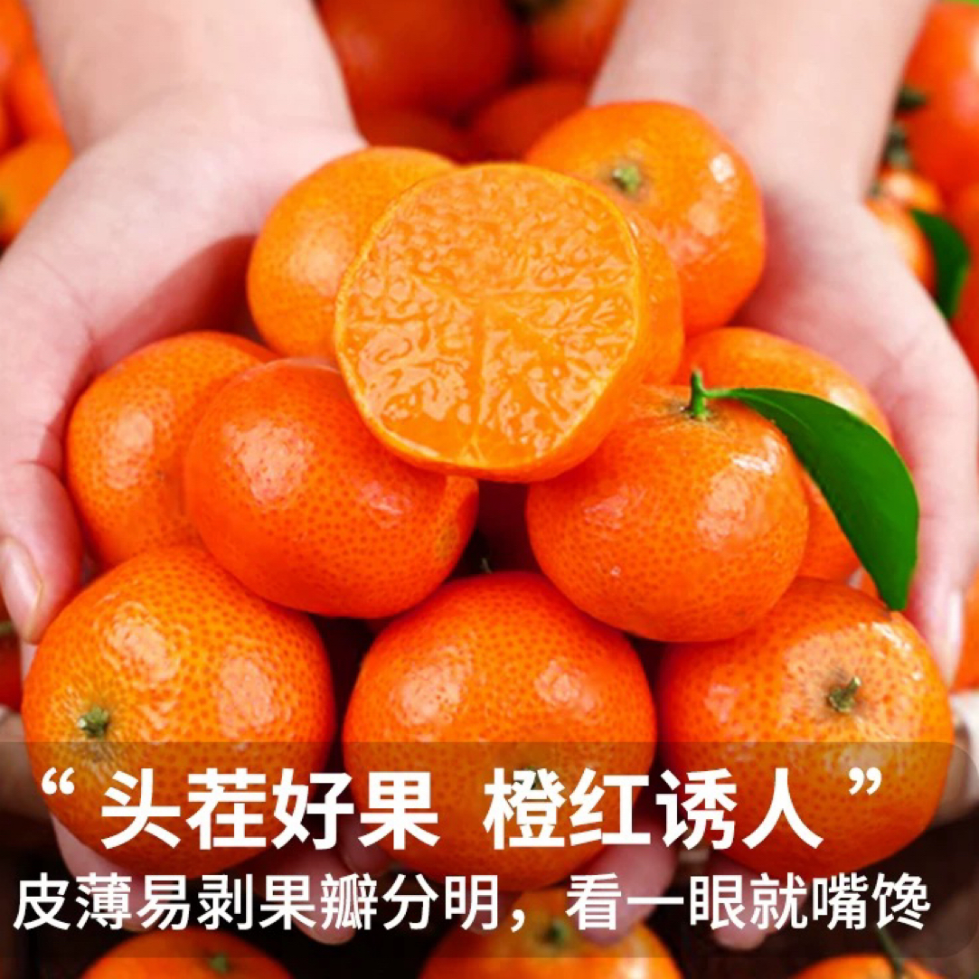 广西正宗金秋砂糖橘小桔子新鲜水果当季薄皮柑橘蜜桔现摘现发