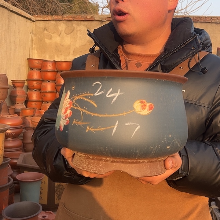 紫砂紫砂花盆盆栽