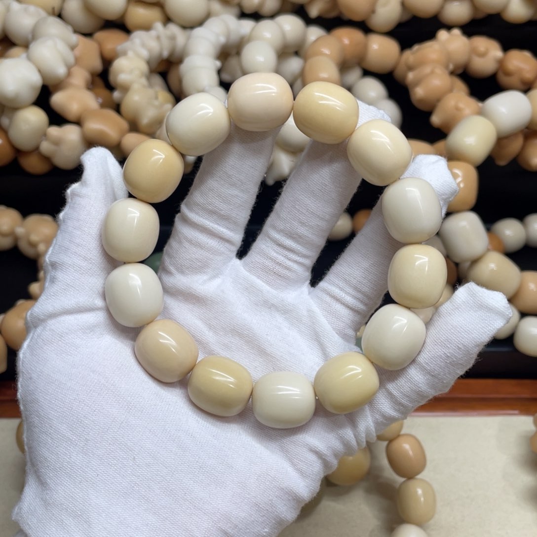 菩提根/象牙果吊坠18干磨牙果枣586