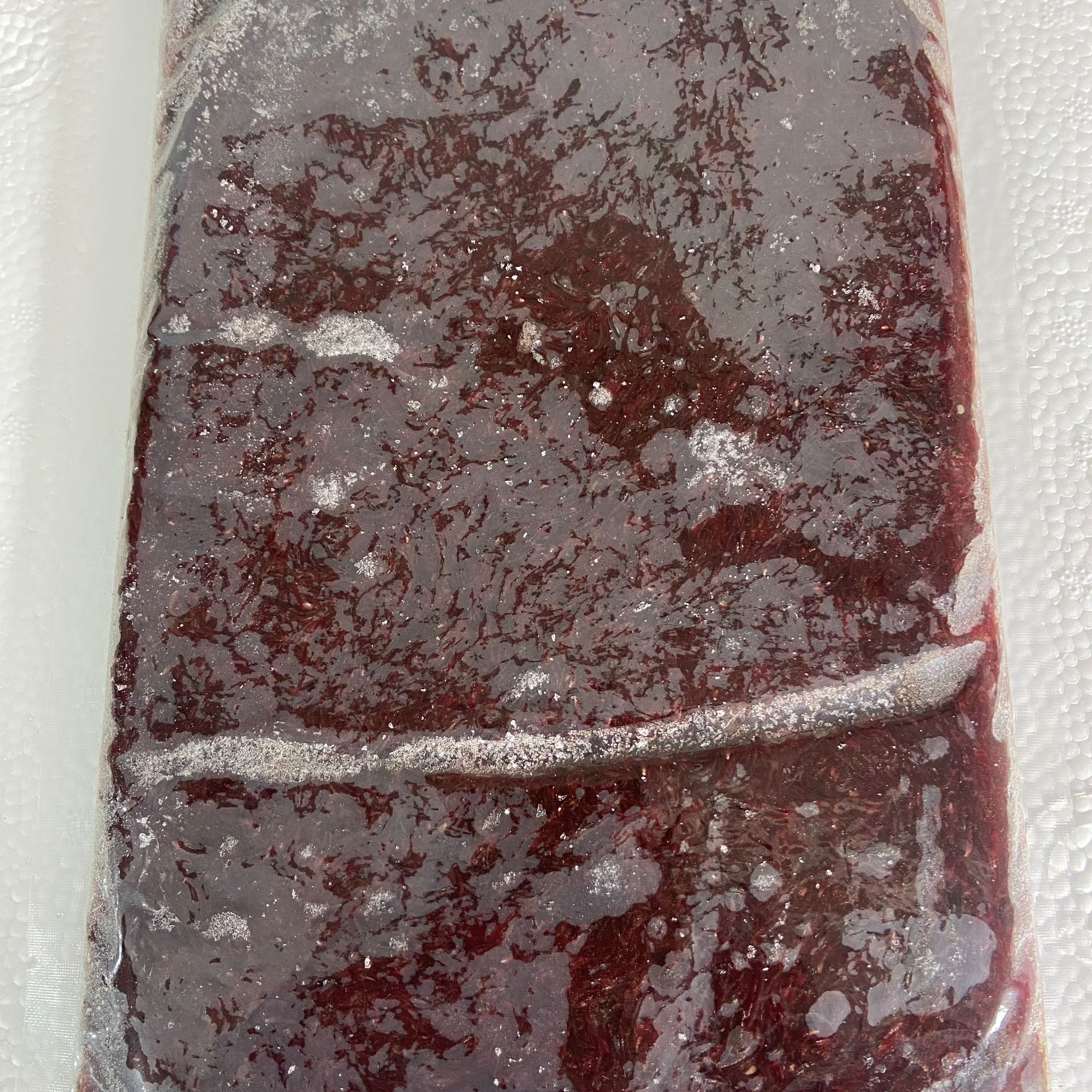 冰冻高维大母虫下沉鱼粮金鱼鹦鹉鱼孔雀鱼金鱼小型鱼观赏鱼鱼食