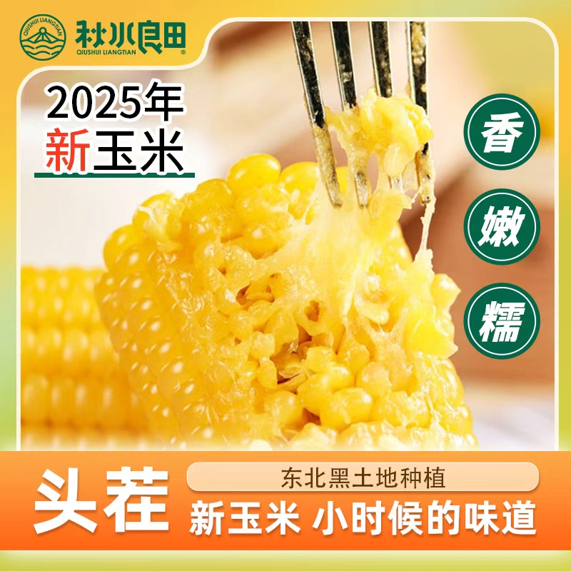 【25年头茬新玉米】秋水良田黄糯玉米棒东北粘苞米10根一箱