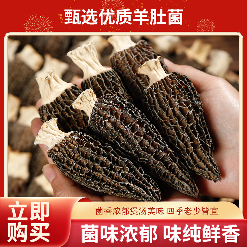 【25年新货剪柄】头茬肉厚 剪柄羊肚菌菇香浓郁 营养高原煲汤酿肉