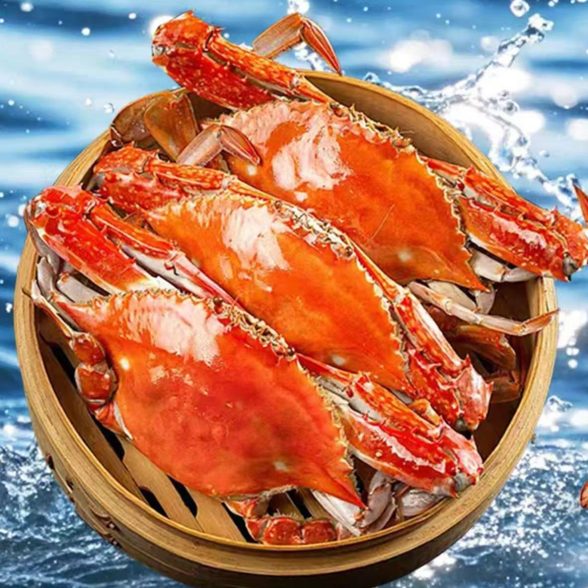 活大母梭子蟹60元1斤4-5两