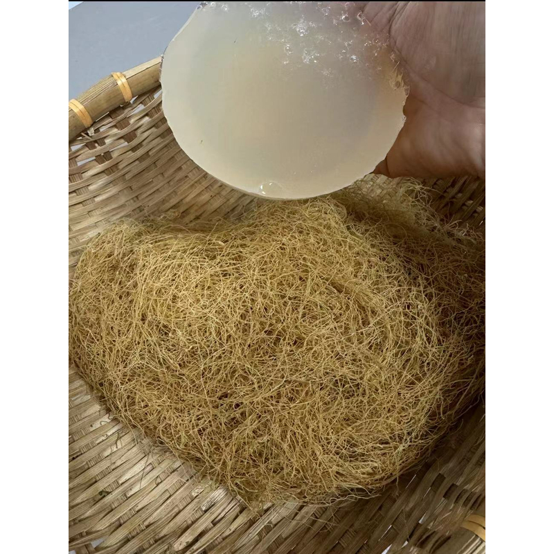 海石花九毛.膏 鸽春丸  汕尾海丰天然特产海味