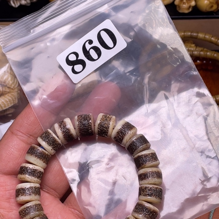 驼骨摆件人工养殖