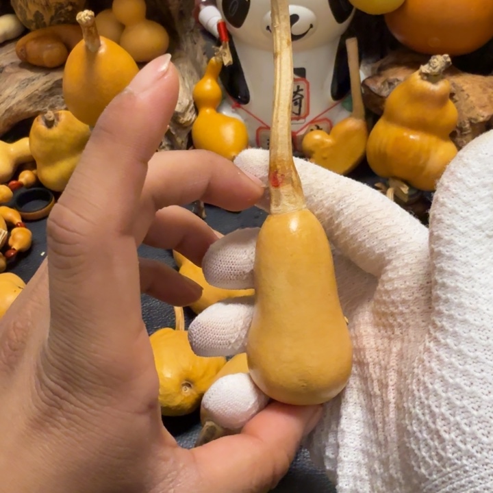 瑞***禄坑666666666666666