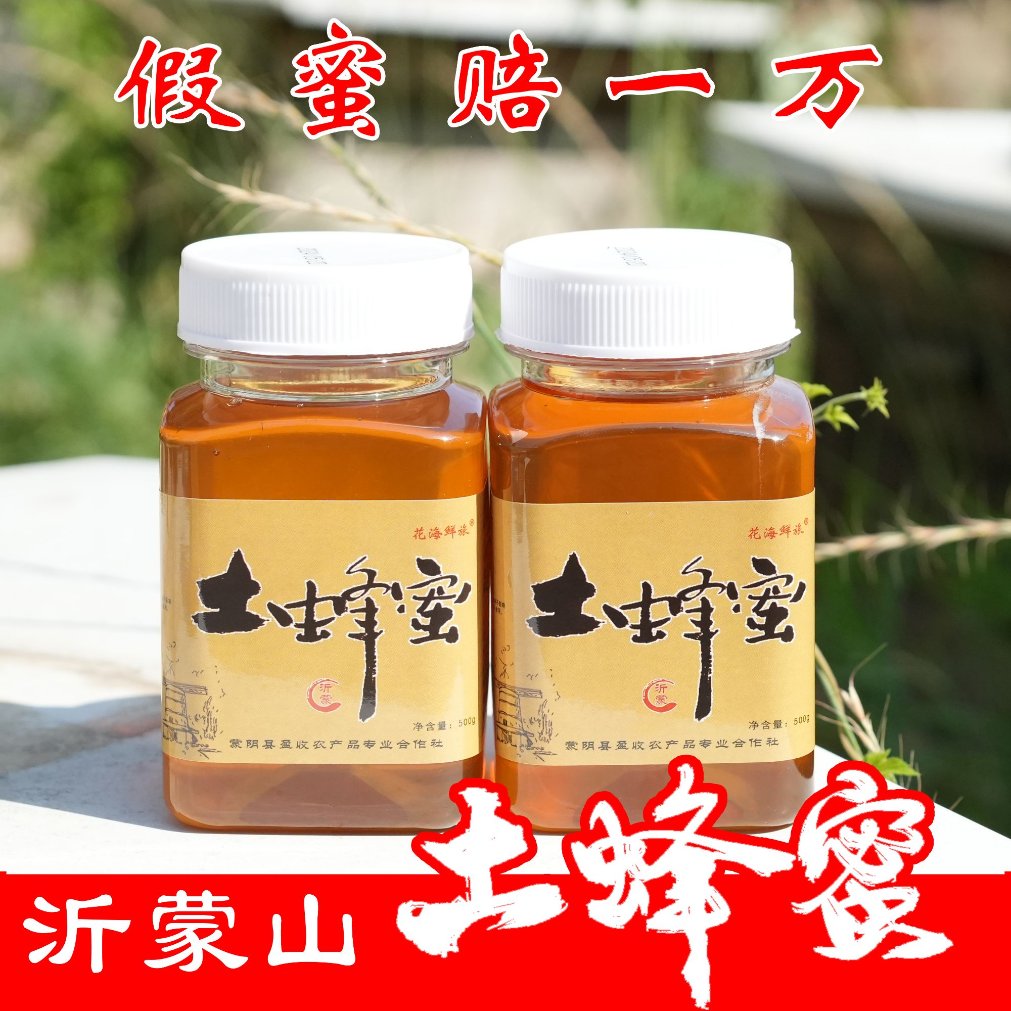 沂蒙山土蜂蜜 【保纯保真】采集野山花 优质蜜源 《可做酵素》