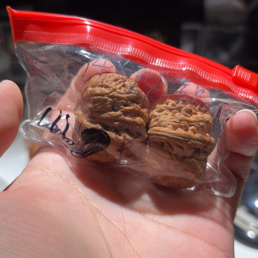 大**啦元宝。          全品。      毕业