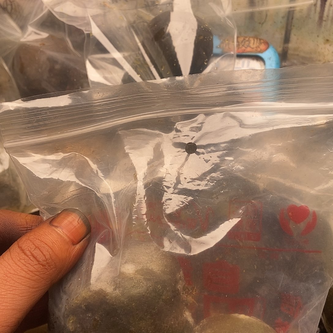 煤***罐大叶紫檀（黑酸枝木类）