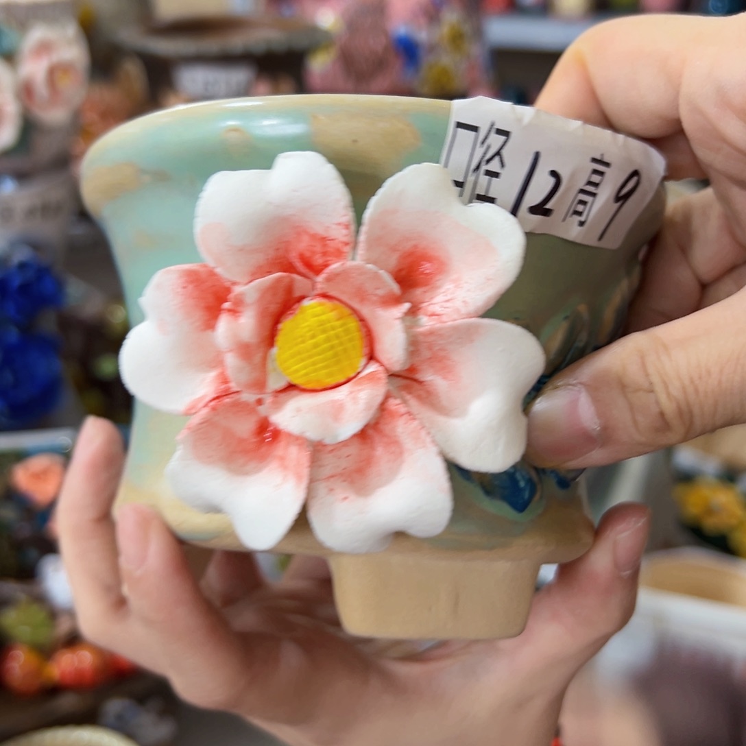 本场满100送一个花盆