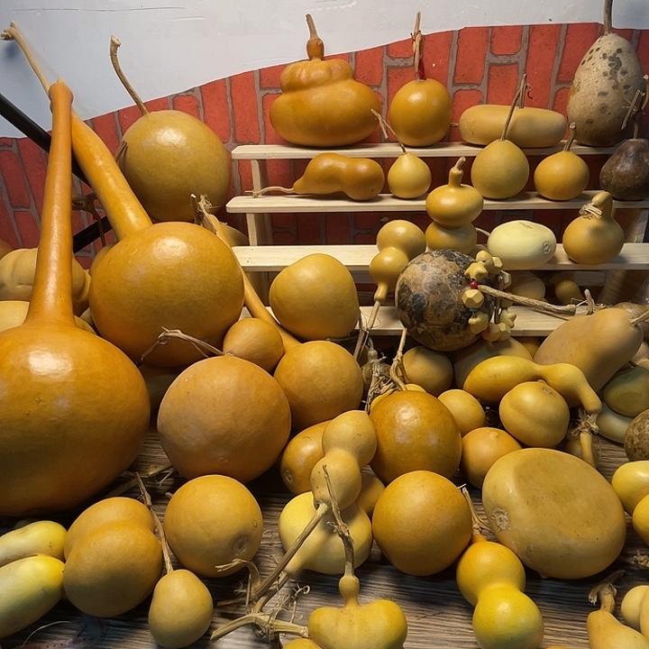 烫***芦羊羔毛恍恍惚惚恍恍惚惚