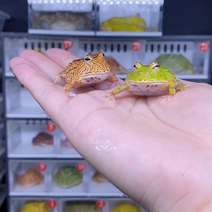 特价秒杀现货特价