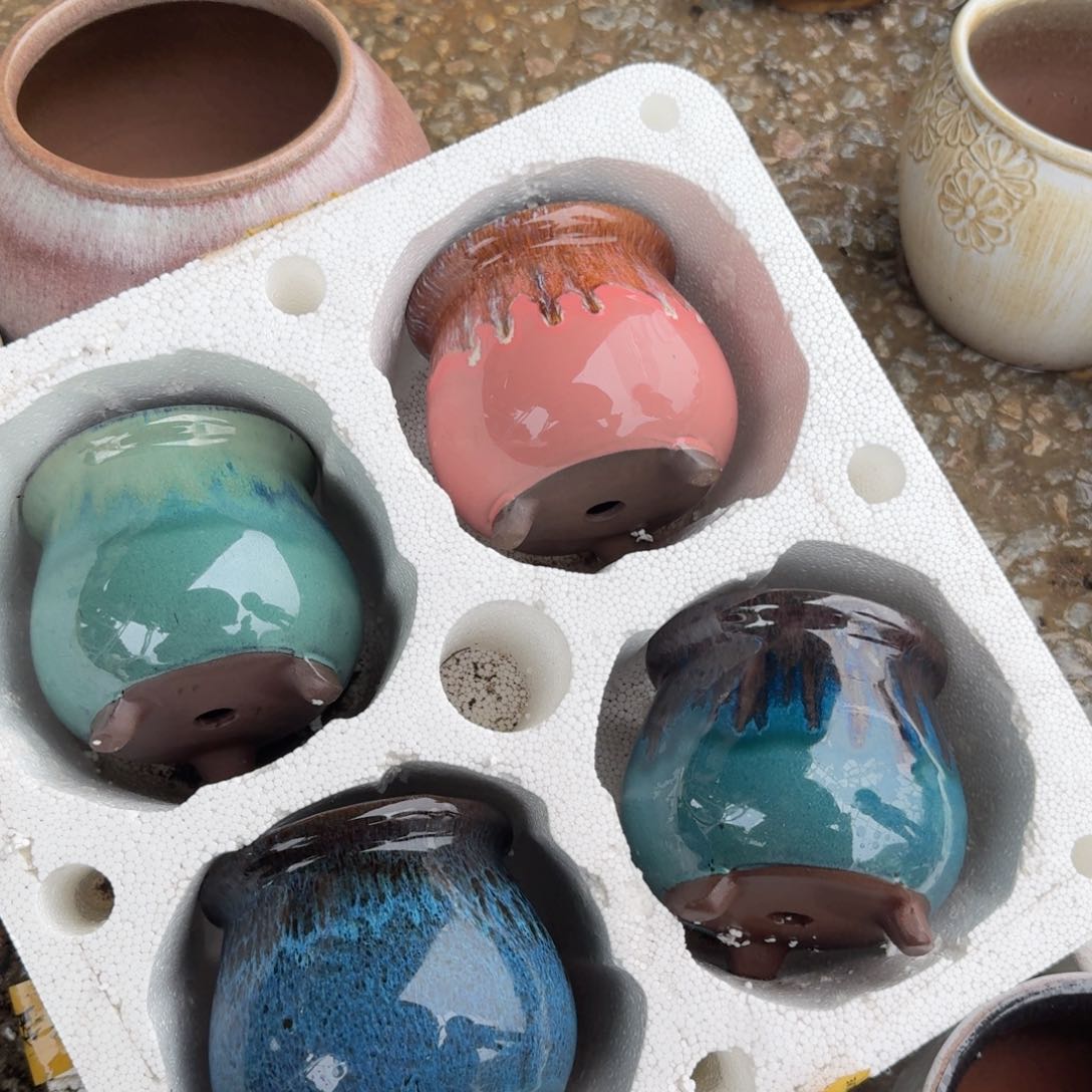 紫砂花盆口12高12（四个大蜜豆