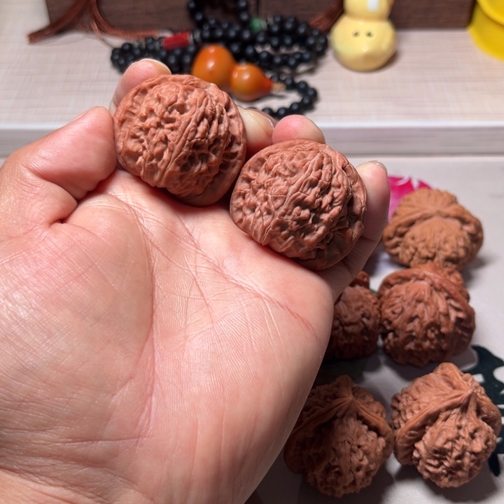 新****白狮子白狮子白狮子