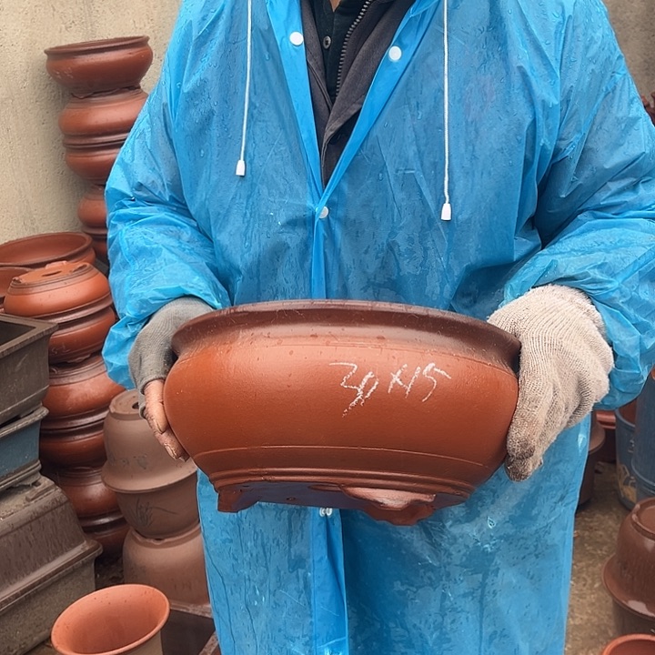 紫砂紫砂花盆和一条